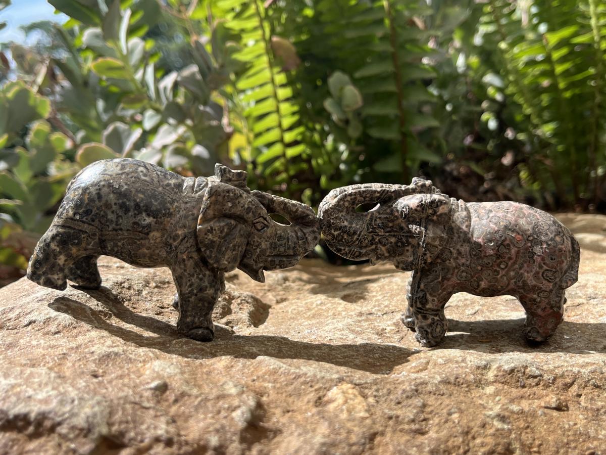 Polished Pair of Snakeskin Rhyolite Jasper Elephant Carvings x 1 From Australia