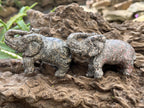 Polished Pair of Snakeskin Rhyolite Jasper Elephant Carvings x 1 From Australia