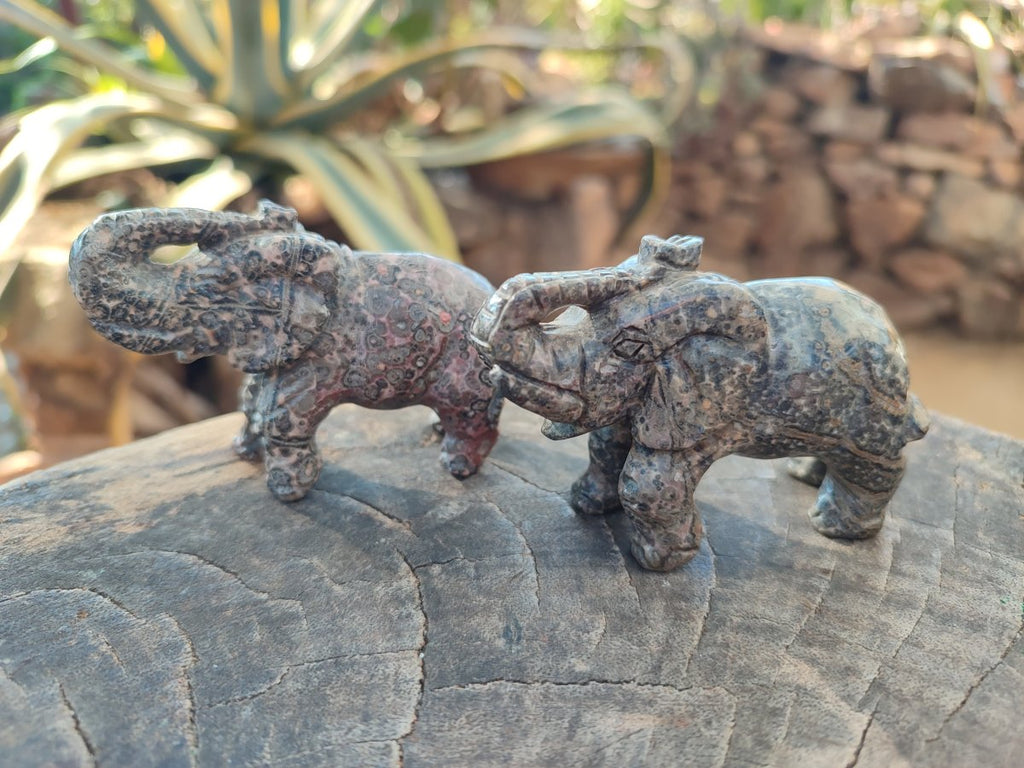 Polished Pair of Snakeskin Rhyolite Jasper Elephant Carvings x 1 From Australia