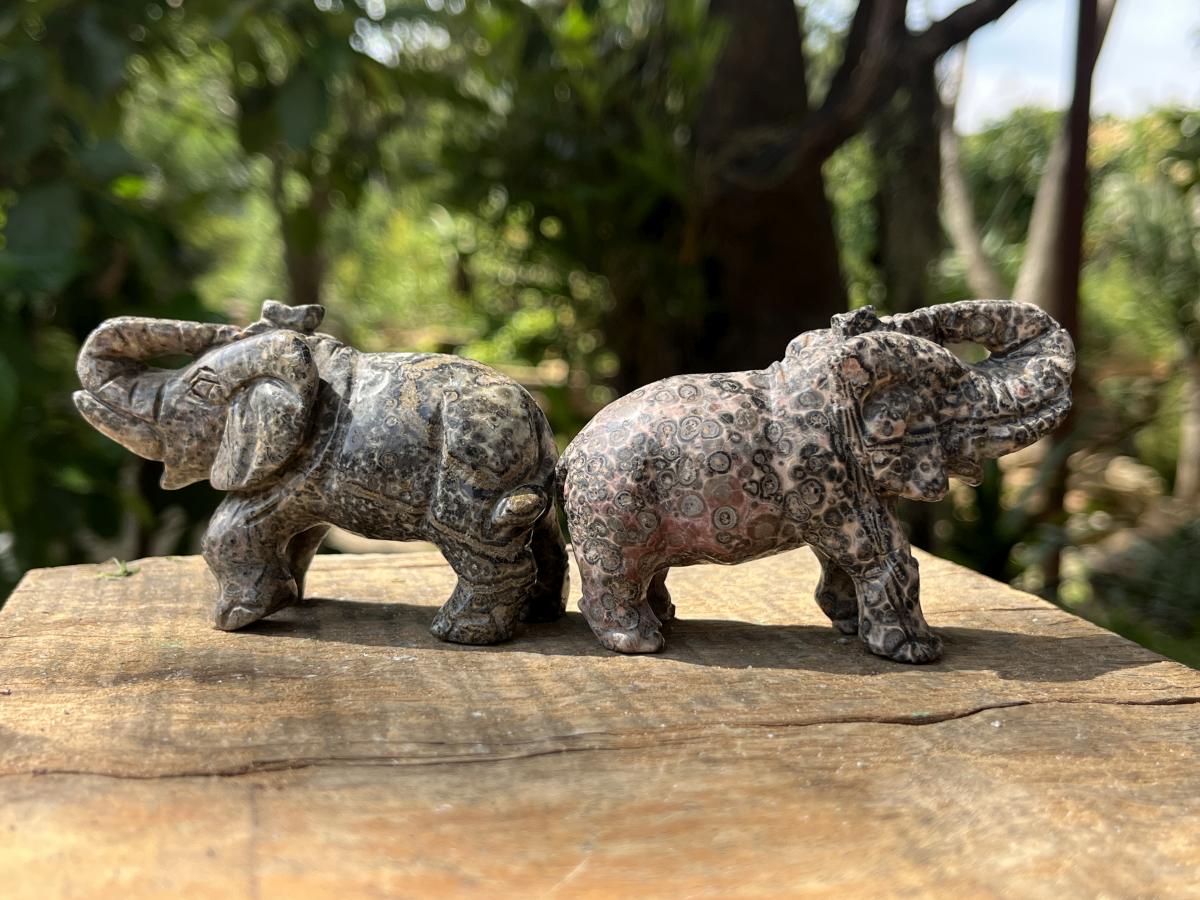 Polished Pair of Snakeskin Rhyolite Jasper Elephant Carvings x 1 From Australia