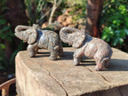 Polished Pair of Snakeskin Rhyolite Jasper Elephant Carvings x 1 From Australia