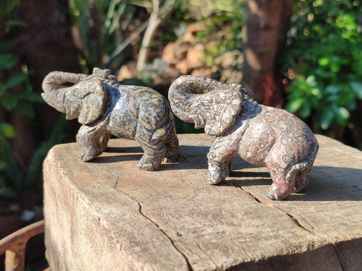Polished Pair of Snakeskin Rhyolite Jasper Elephant Carvings x 1 From Australia
