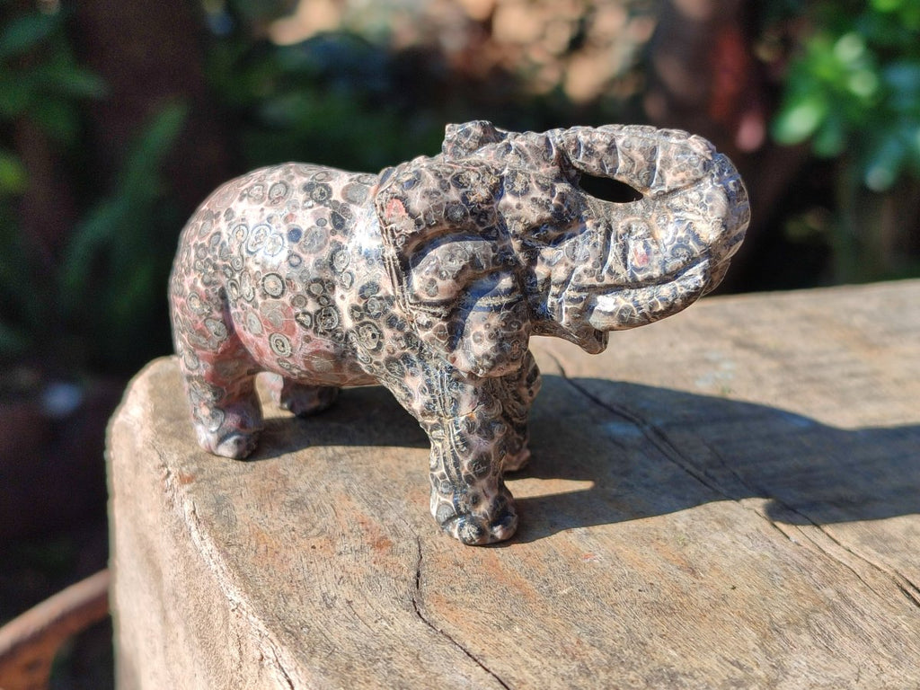 Polished Pair of Snakeskin Rhyolite Jasper Elephant Carvings x 1 From Australia