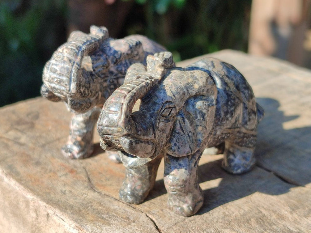 Polished Pair of Snakeskin Rhyolite Jasper Elephant Carvings x 1 From Australia