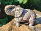 Polished Pair of Snakeskin Rhyolite Jasper Elephant Carvings x 1 From Australia