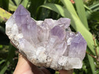 Natural Jacaranda Amethyst Crystal Cluster x 1 From Zambia