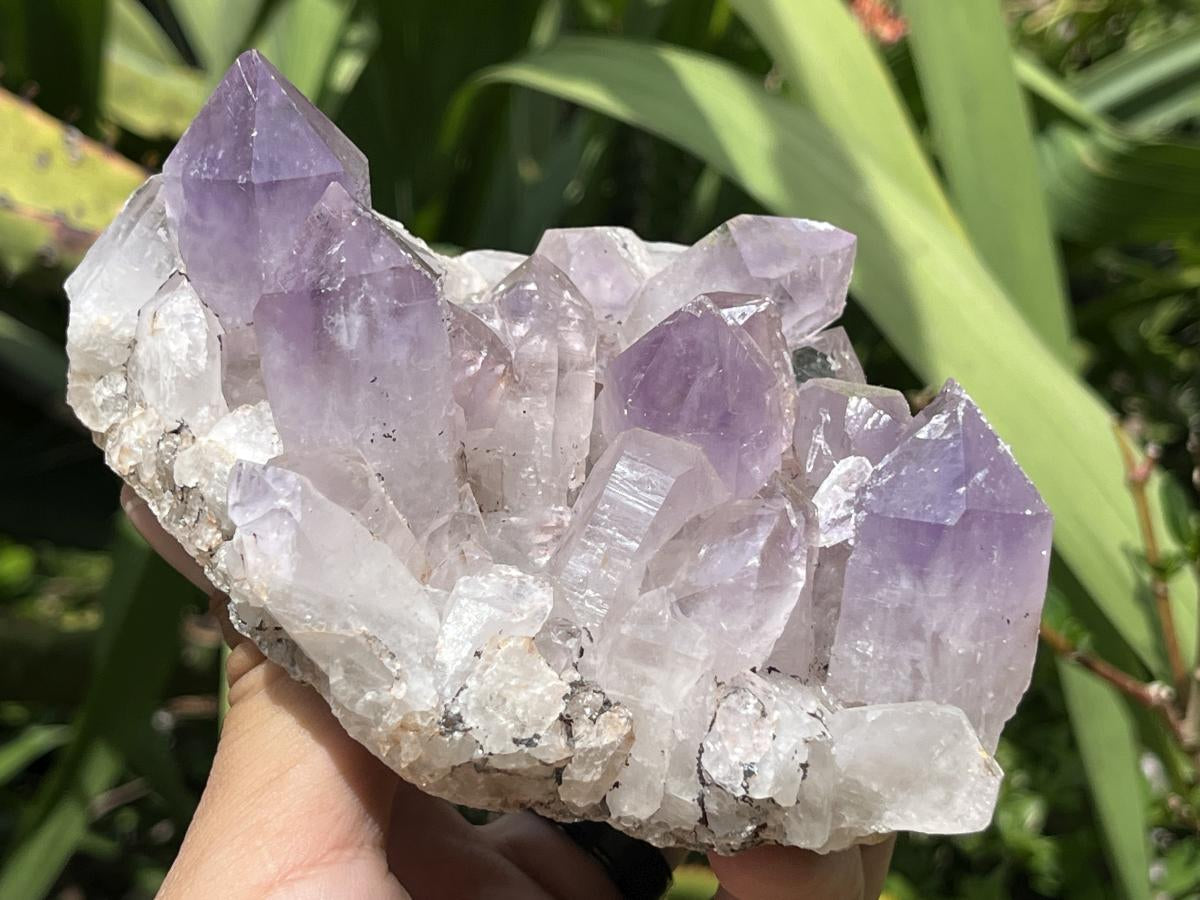 Natural Jacaranda Amethyst Crystal Cluster x 1 From Zambia