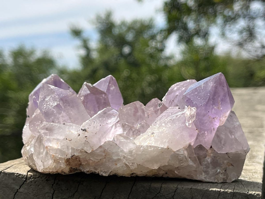 Natural Jacaranda Amethyst Crystal Cluster x 1 From Zambia