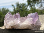 Natural Jacaranda Amethyst Crystal Cluster x 1 From Zambia