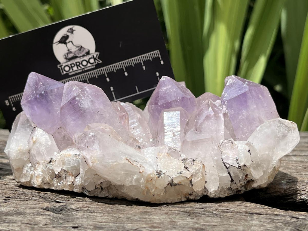 Natural Jacaranda Amethyst Crystal Cluster x 1 From Zambia