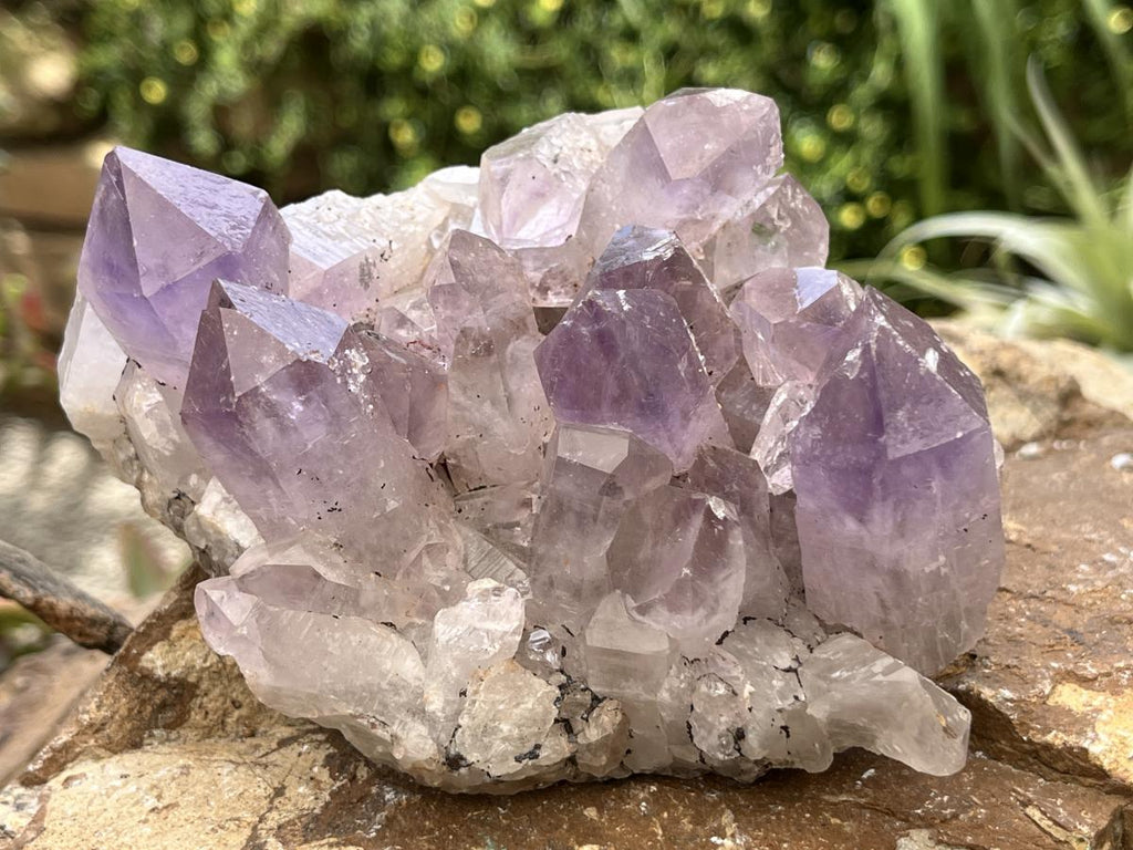 Natural Jacaranda Amethyst Crystal Cluster x 1 From Zambia
