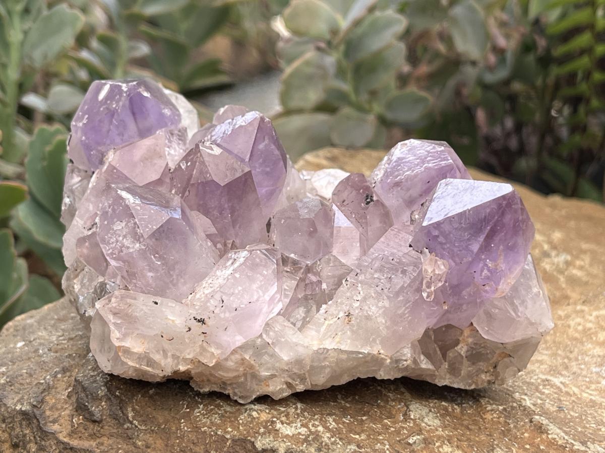 Natural Jacaranda Amethyst Crystal Cluster x 1 From Zambia