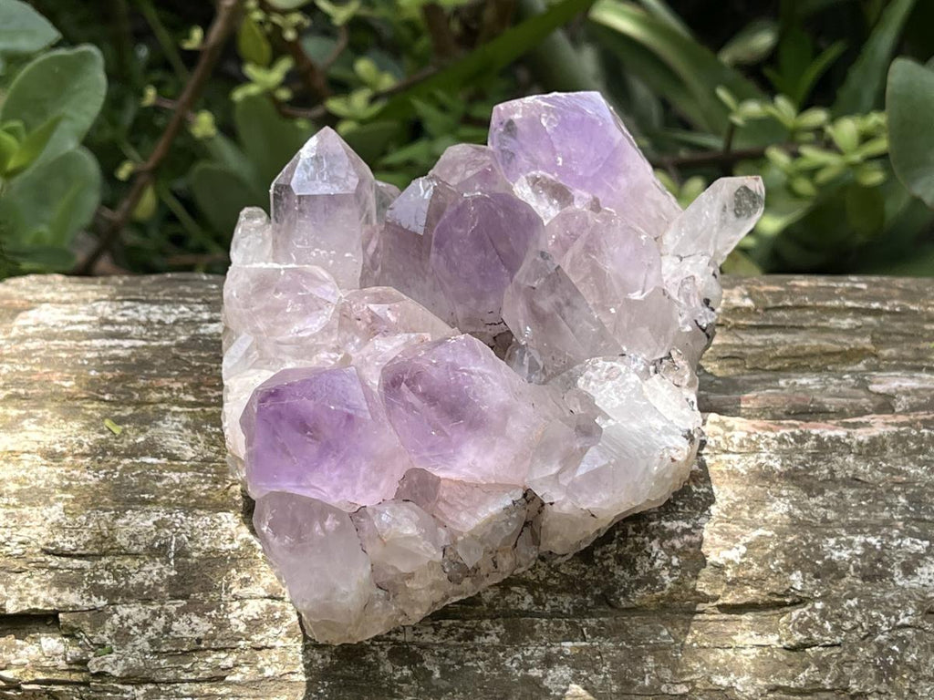 Natural Jacaranda Amethyst Crystal Cluster x 1 From Zambia