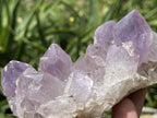 Natural Jacaranda Amethyst Crystal Cluster x 1 From Zambia