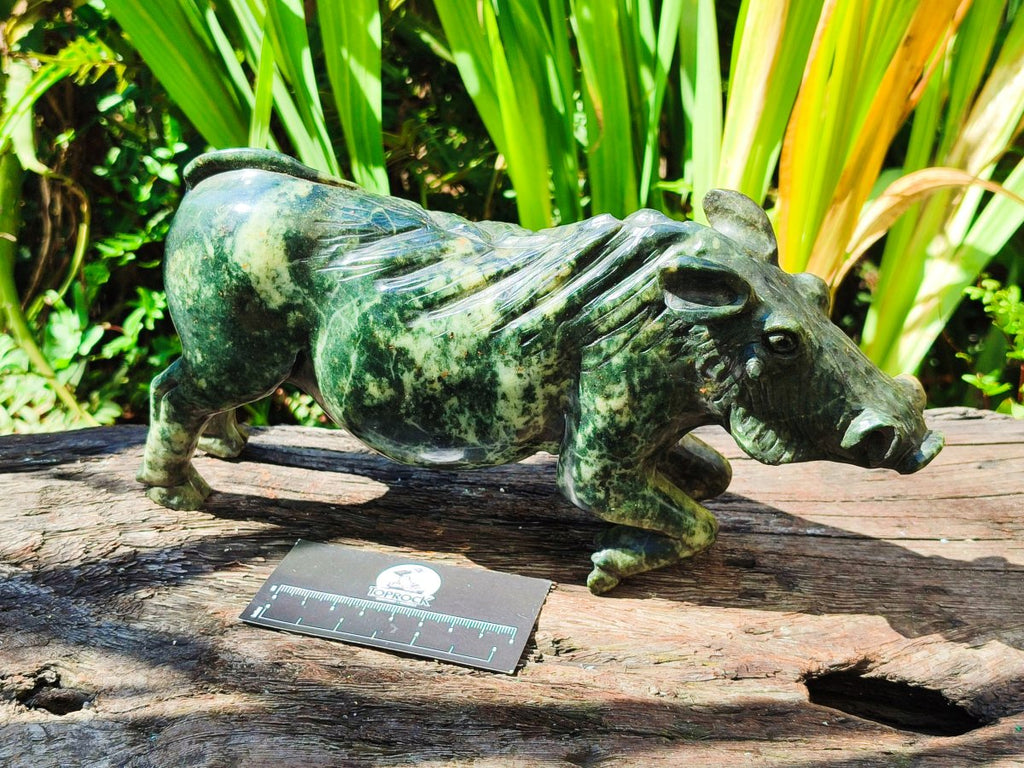 Hand Made Large Leopard Stone Warthog Carving x 1 From Nyanga, Zimbabwe