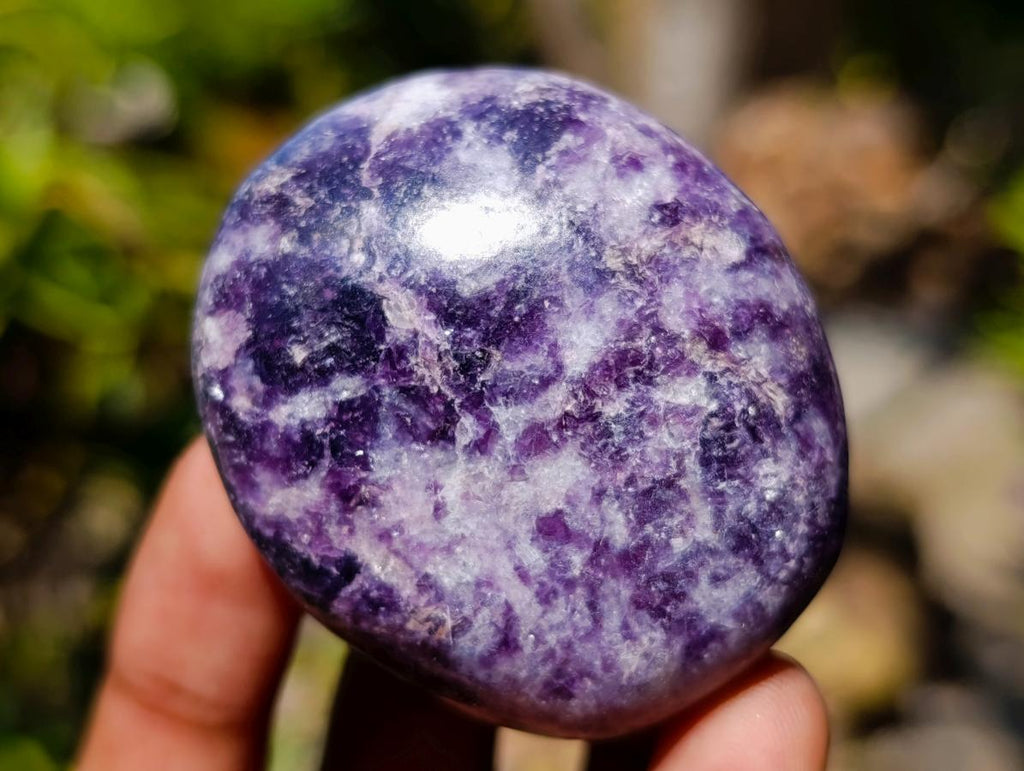 Polished Bouquet Basket Set of 6 Lepidolite Palm Stones x 1 From Zimbabwe