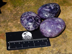 Polished Bouquet Basket Set of 6 Lepidolite Palm Stones x 1 From Zimbabwe