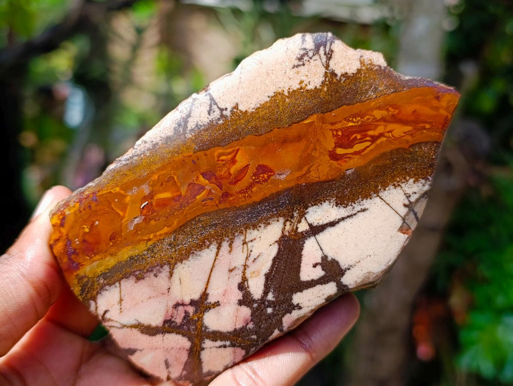 Polished One Side Nguni Jasper Specimen x 1 From Northern Cape, South Africa