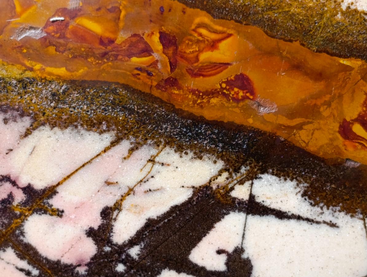 Polished One Side Nguni Jasper Specimen x 1 From Northern Cape, South Africa