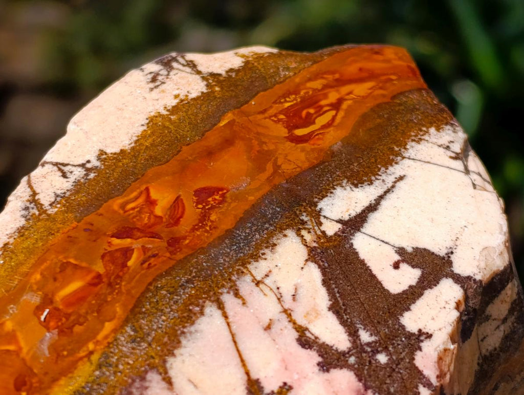 Polished One Side Nguni Jasper Specimen x 1 From Northern Cape, South Africa