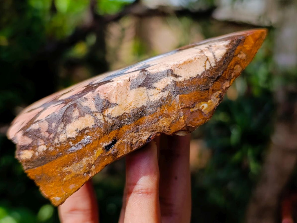 Polished One Side Nguni Jasper Specimen x 1 From Northern Cape, South Africa