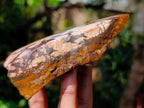 Polished One Side Nguni Jasper Specimen x 1 From Northern Cape, South Africa