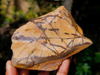 Polished One Side Nguni Jasper Specimen x 1 From Northern Cape, South Africa
