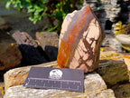 Polished One Side Nguni Jasper Specimen x 1 From Northern Cape, South Africa