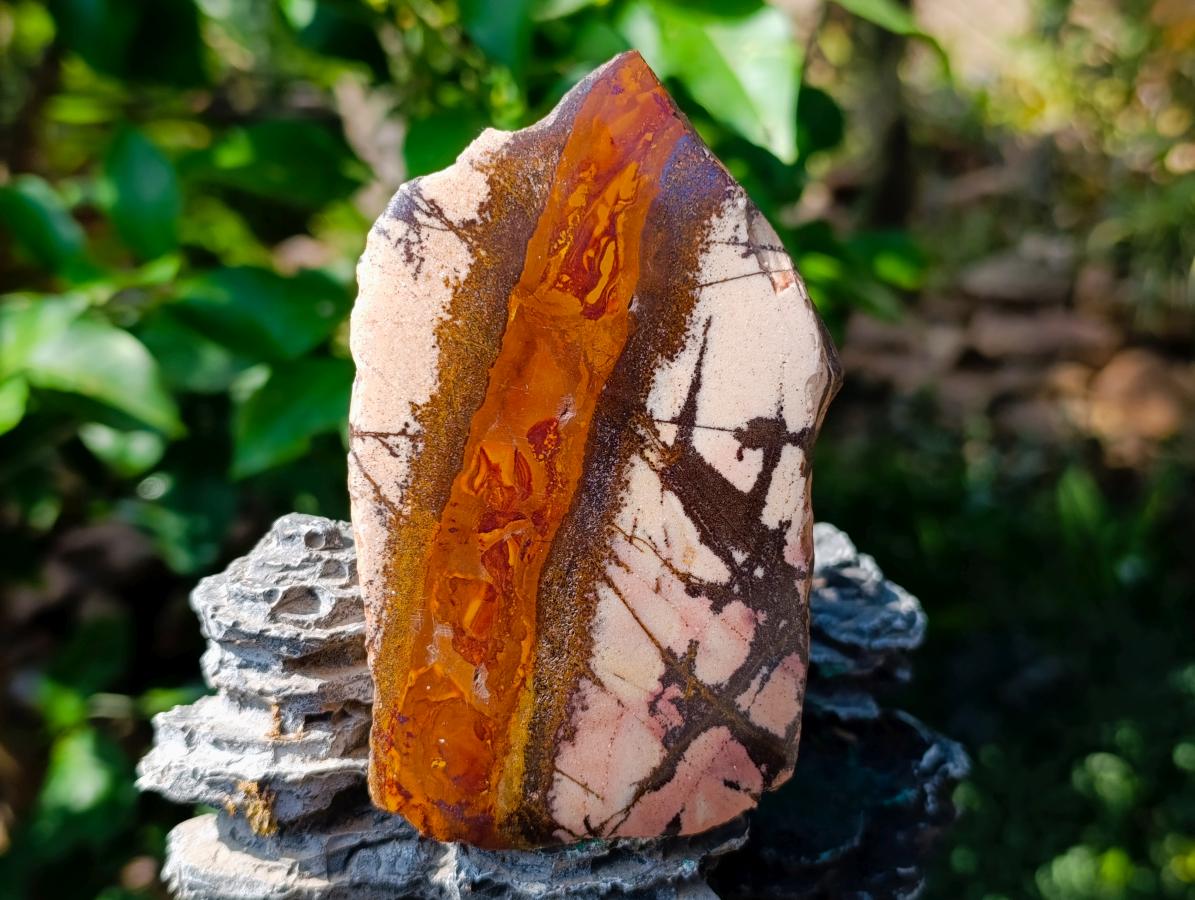 Polished One Side Nguni Jasper Specimen x 1 From Northern Cape, South Africa