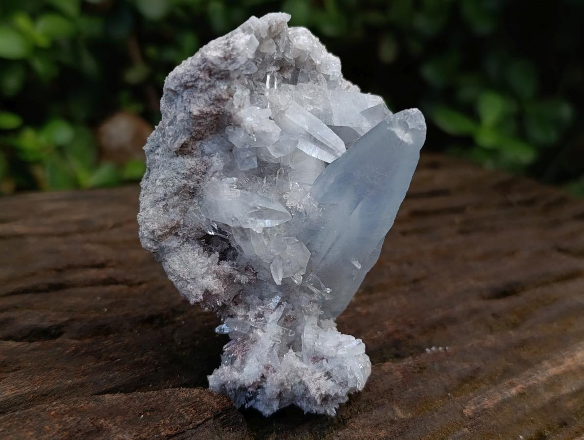 Natural Small Acicular Prismatic Celestite Cluster x 1 From Madagascar
