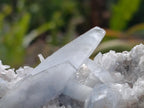 Natural Small Acicular Prismatic Celestite Cluster x 1 From Madagascar