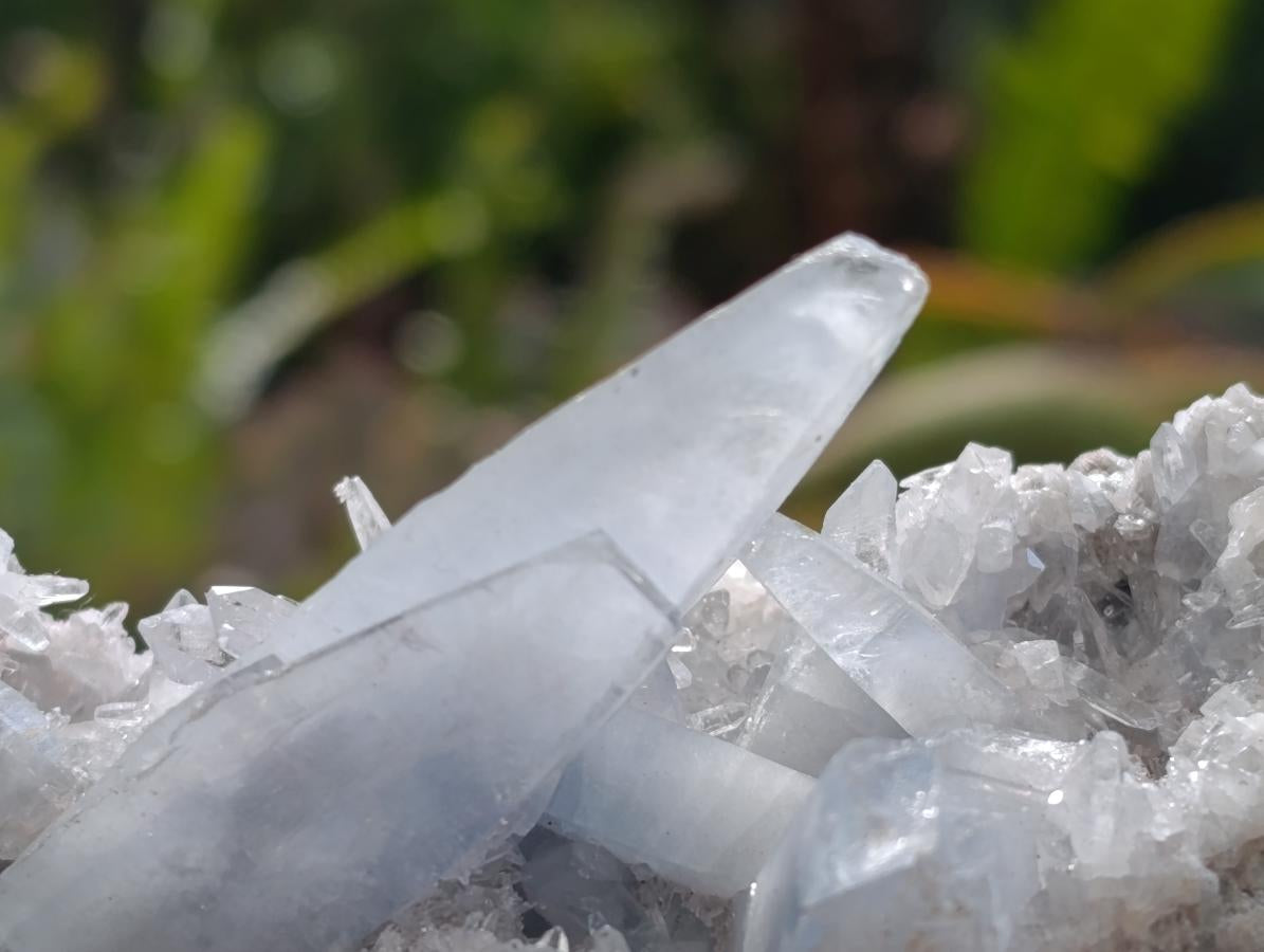 Natural Small Acicular Prismatic Celestite Cluster x 1 From Madagascar