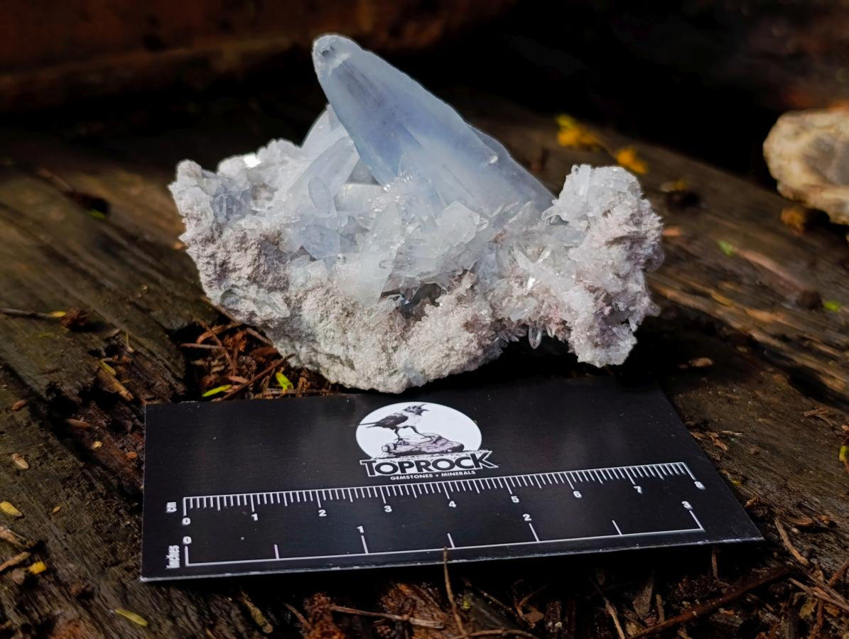 Natural Small Acicular Prismatic Celestite Cluster x 1 From Madagascar