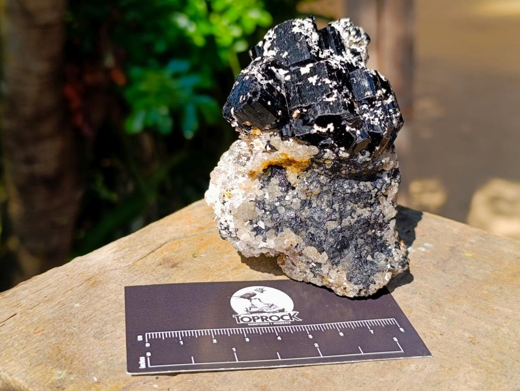 Natural Schorl Black Tourmaline Specimen with Feldspar and Smokey Quartz x 1 From Erongo, Namibia