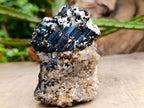 Natural Schorl Black Tourmaline Specimen with Feldspar and Smokey Quartz x 1 From Erongo, Namibia