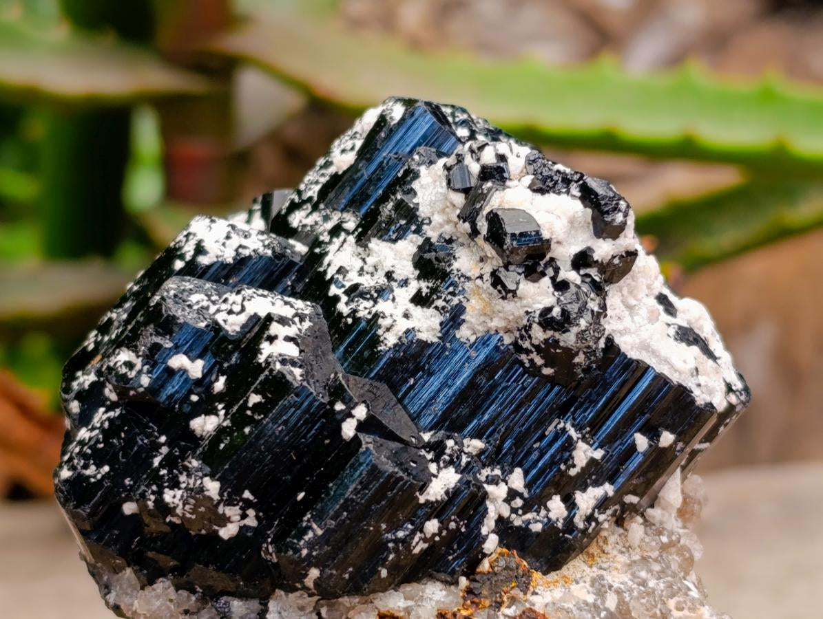 Natural Schorl Black Tourmaline Specimen with Feldspar and Smokey Quartz x 1 From Erongo, Namibia