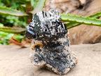 Natural Schorl Black Tourmaline Specimen with Feldspar and Smokey Quartz x 1 From Erongo, Namibia