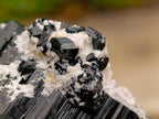 Natural Schorl Black Tourmaline Specimen with Feldspar and Smokey Quartz x 1 From Erongo, Namibia