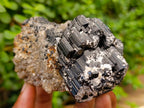 Natural Schorl Black Tourmaline Specimen with Feldspar and Smokey Quartz x 1 From Erongo, Namibia