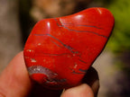 Polished African Gemstone Tumbled Stone Gift Set - Sold Per Set - From Southern Africa
