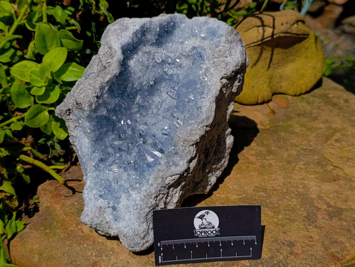 Natural Exquisite Large Acicular Celestite Geode x 1 From Sakoany, Madagascar