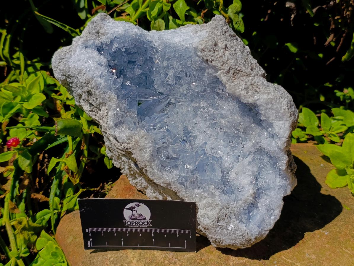 Natural Exquisite Large Acicular Celestite Geode x 1 From Sakoany, Madagascar