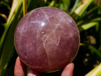 Polished Gemmy Star Lavender Rose Quartz Sphere x 1 From Ambatondrazaka, Madagascar