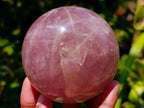 Polished Gemmy Star Lavender Rose Quartz Sphere x 1 From Ambatondrazaka, Madagascar