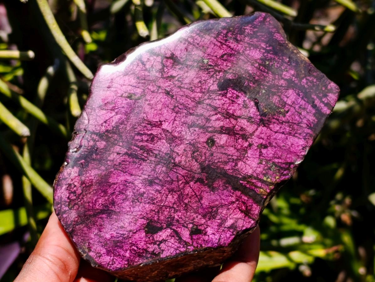 Polished One Side Metallic Sheen Purpurite Specimen x 1 From Erongo, Namibia