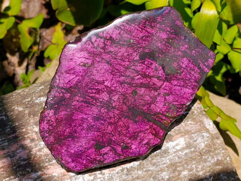 Polished One Side Metallic Sheen Purpurite Specimen x 1 From Erongo, Namibia