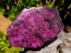 Polished One Side Metallic Sheen Purpurite Specimen x 1 From Erongo, Namibia