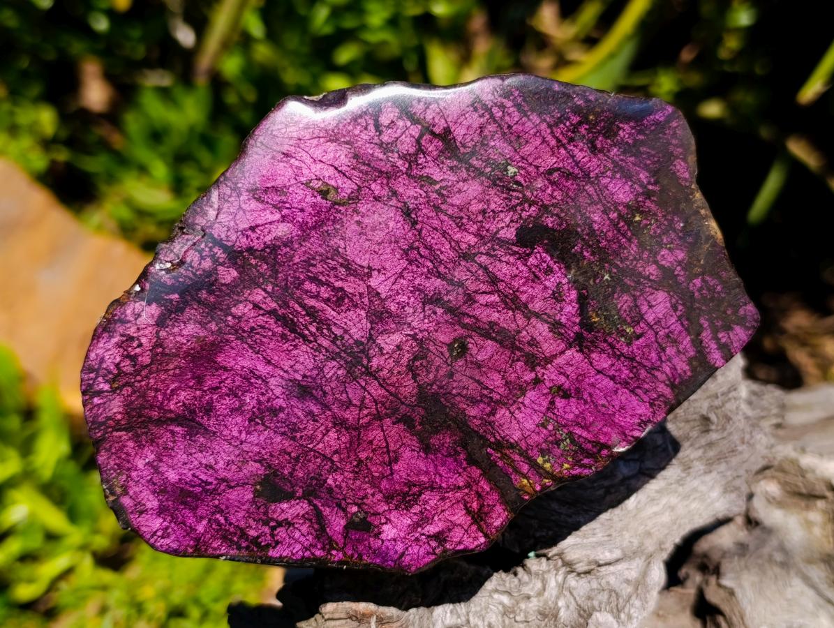 Polished One Side Metallic Sheen Purpurite Specimen x 1 From Erongo, Namibia