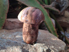 Polished Podocarpus Petrified Wood Mushroom Carving x 1 From Mahajanga Madagascar