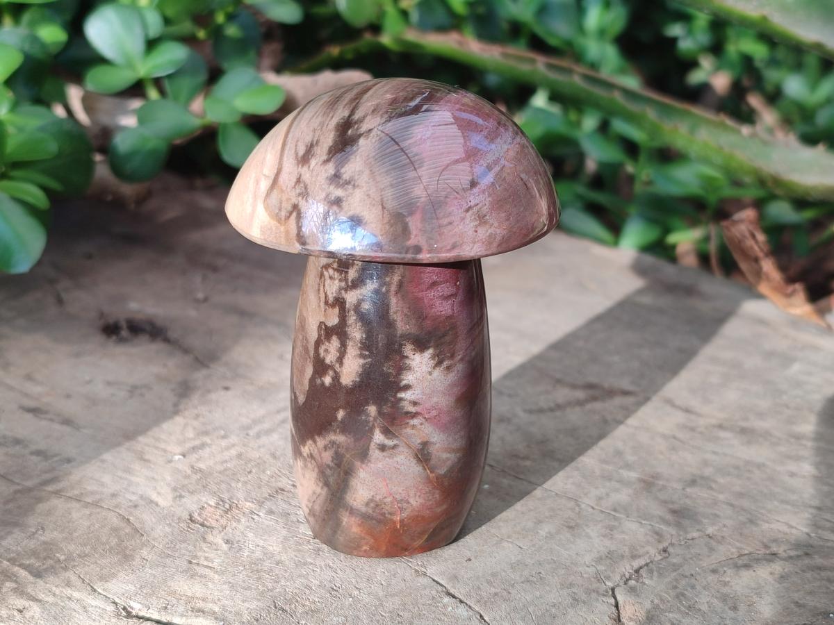 Polished Podocarpus Petrified Wood Mushroom Carving x 1 From Mahajanga Madagascar